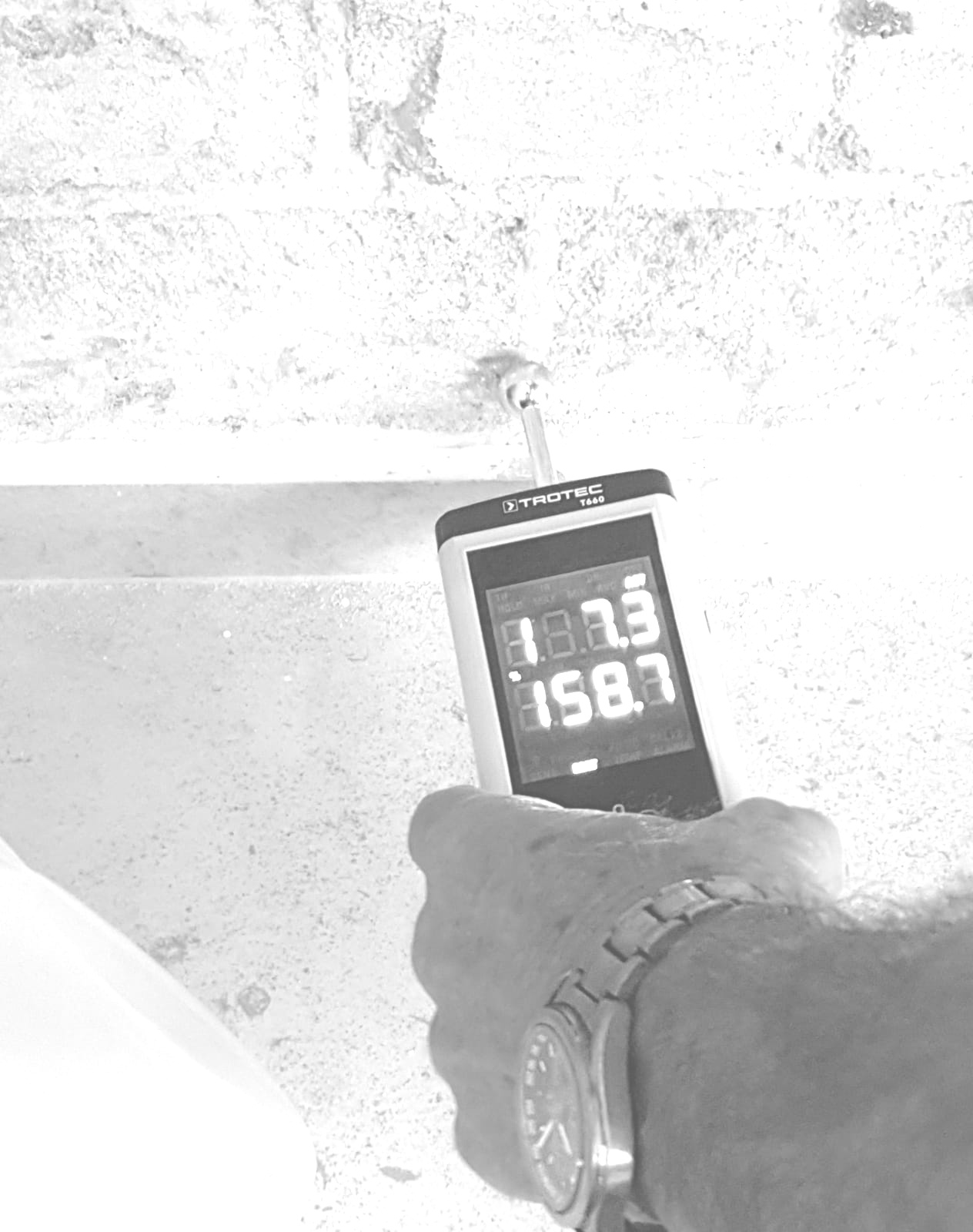 Image without description